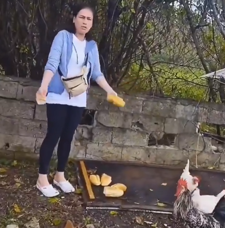 Ekran Görüntüsü 2026 09 02 085020