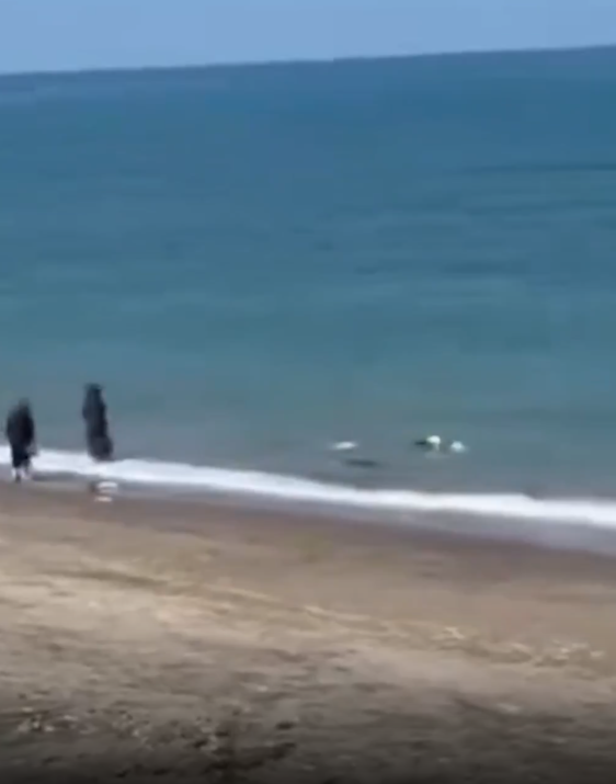 Ekran Görüntüsü 2026 09 05 163007