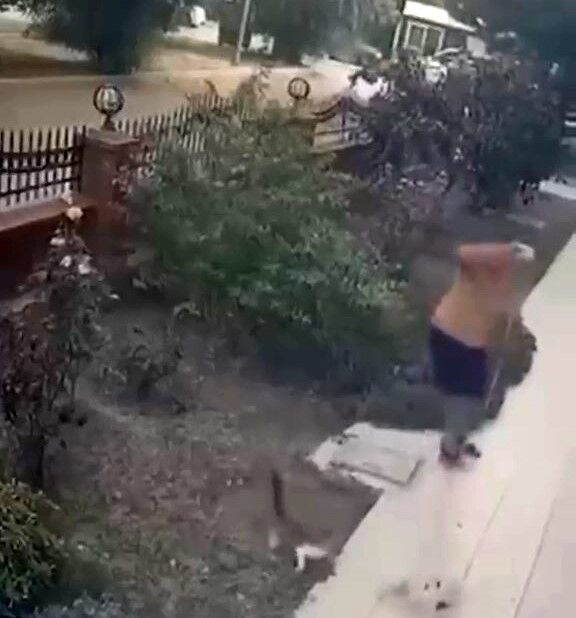 İzmir'de Yavrulu Kediye Tekme Attı! O Anlar Kamerada (2)