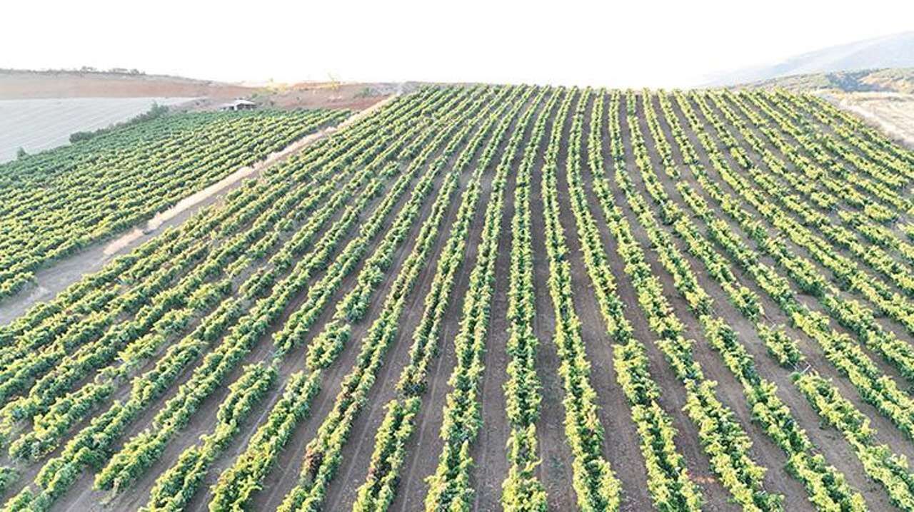 Göç veren köy 200 yıllık mirasına sarıldı: Destekle 4 katına çıktı