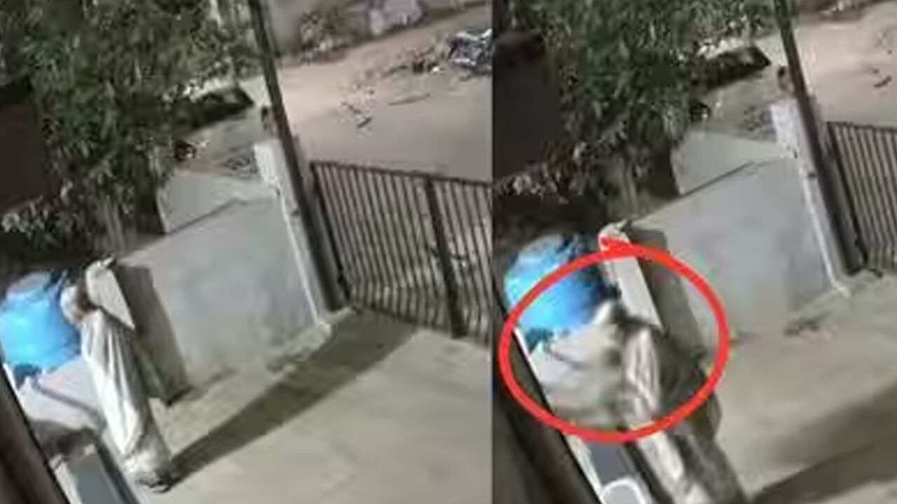 Maymunun saldırısına uğrayan yaşlı kadın hayatını kaybetti! O anlar kameraya yansıdı