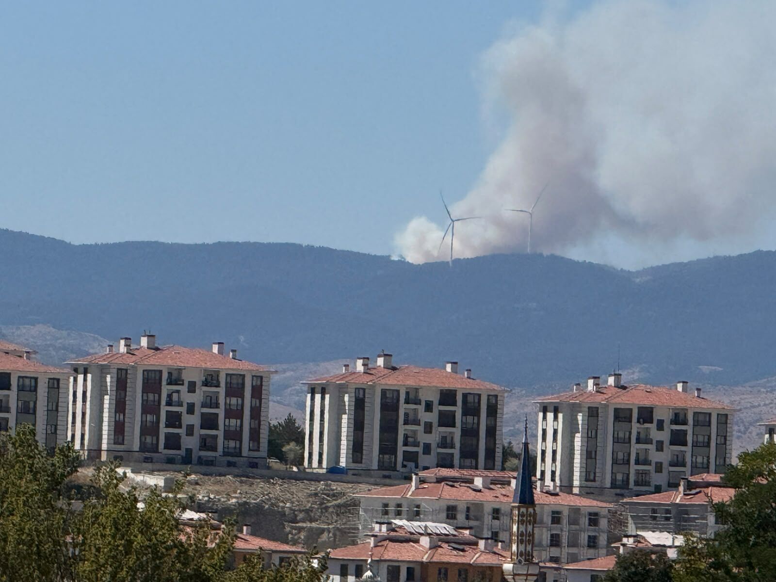 Orman Yangın-1