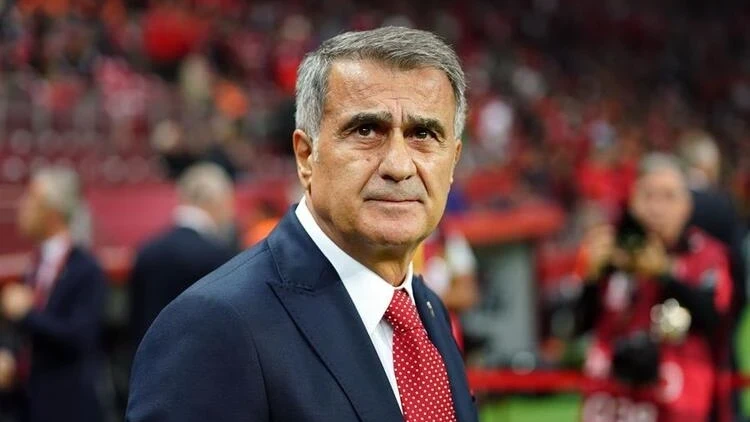 Şenol Güneş-2
