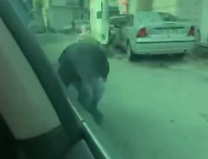 Ulus Kavga