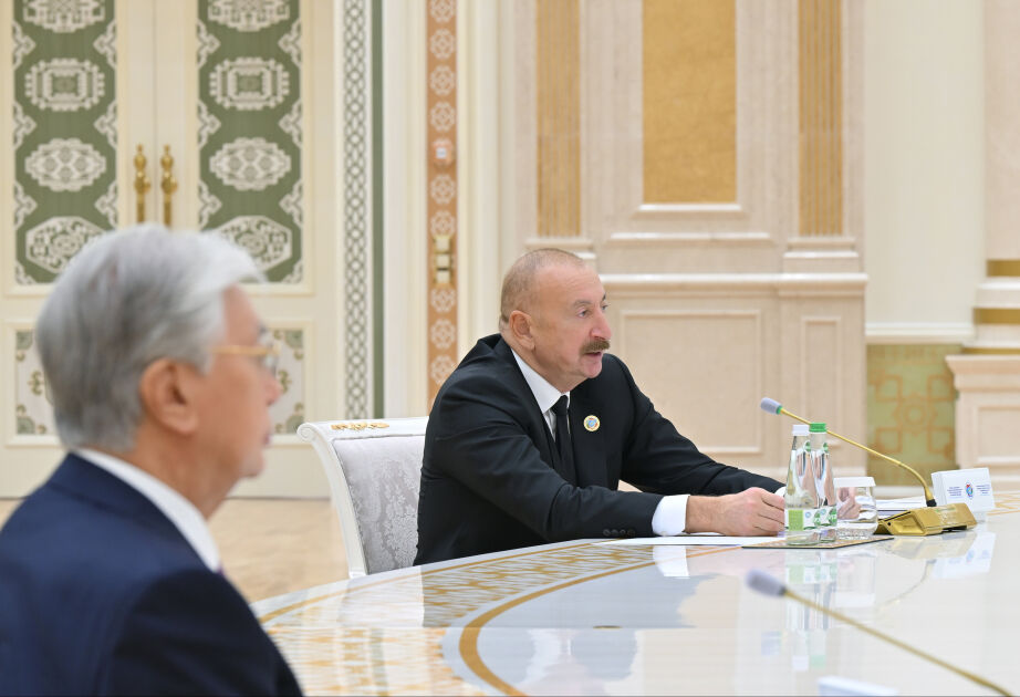 Aliyev Birlikte Yatırım Yapmalı, Üretmeliyiz1