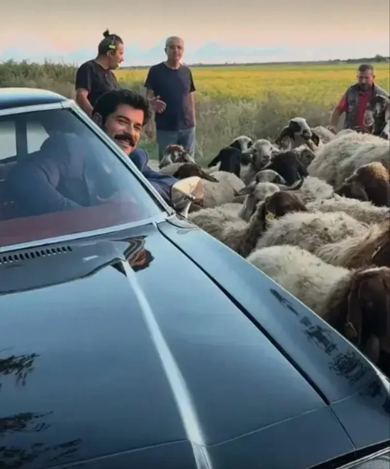 Burak Özçivit Adana’da Koyunlarla Poz Verdi, Paylaşımı Gündem Olduu