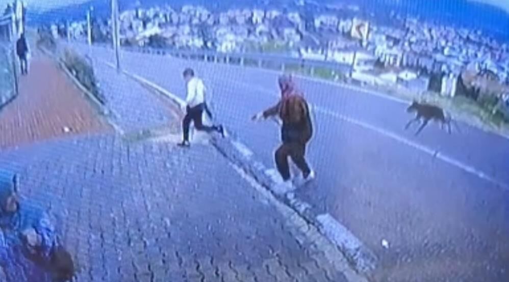 Bursa'da Köpek Dehşeti Kamerada Çocuk Kaçarken Bacağını Kırdı