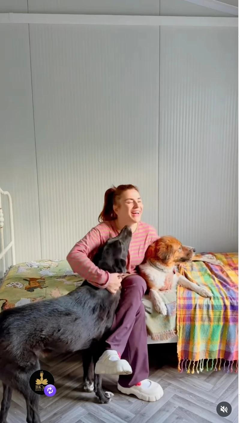 Ceylan Ertem Telif Gelirleriyle Köpeklerine Özel Bir Ev Aldıi
