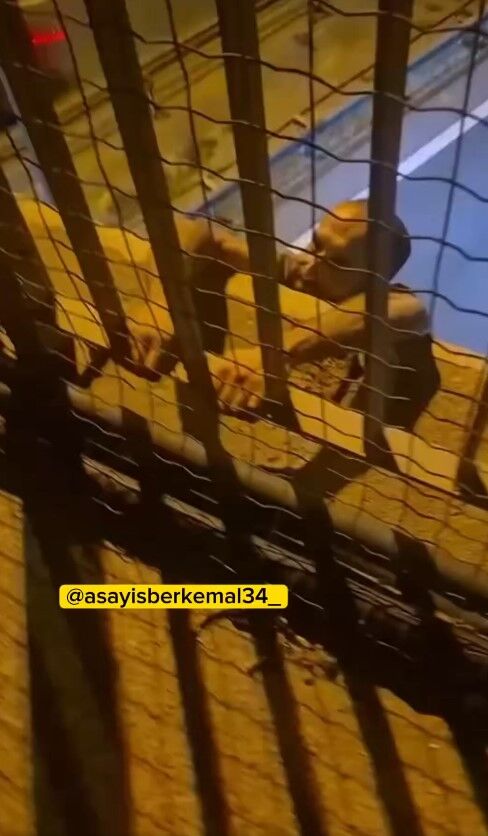 Ceza kesilen sürücü köprüden sarkarak intihara kalkıştı!