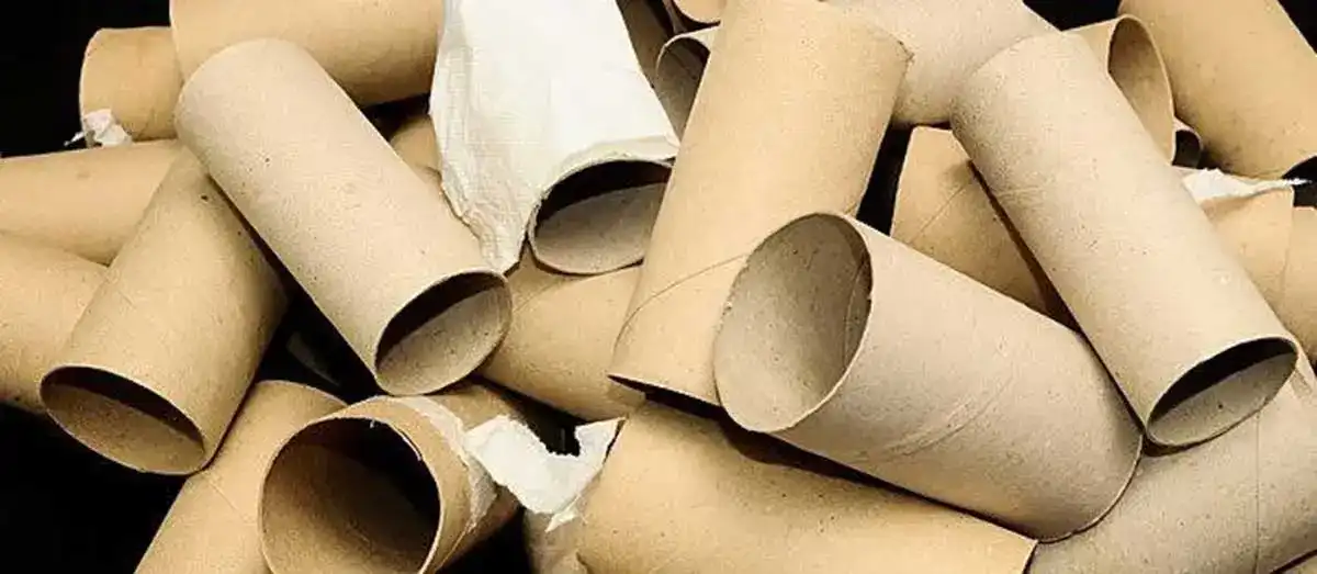 Çöpe Attığınız Karton Ruloların 15 Kullanım Alanı Var!3