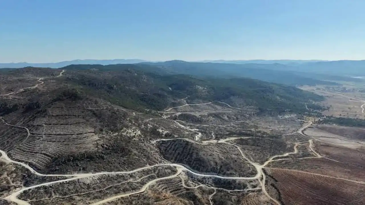 Eber Gölü’nde Dikkat Çeken Gelişme Saz Kedisi Yeniden Görülecek Mi1