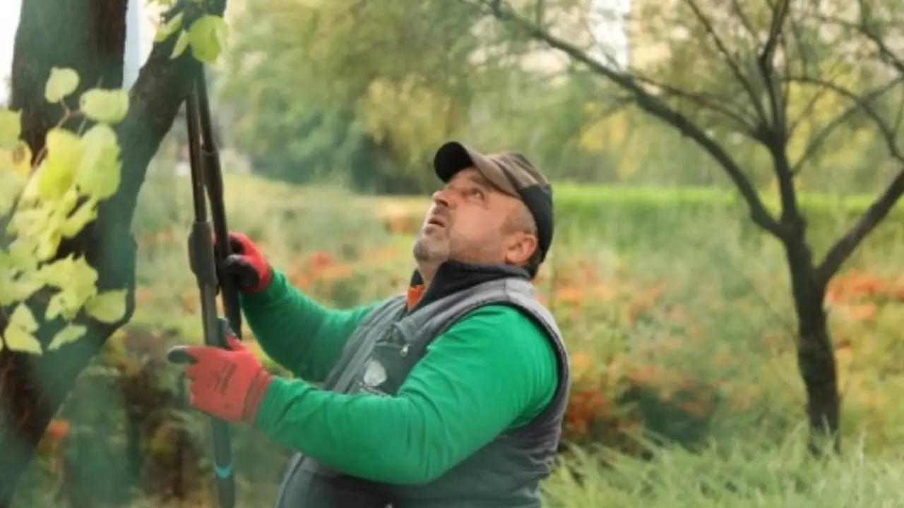 Etimesgut Belediyesi'nden Sonbahar Mesaisi