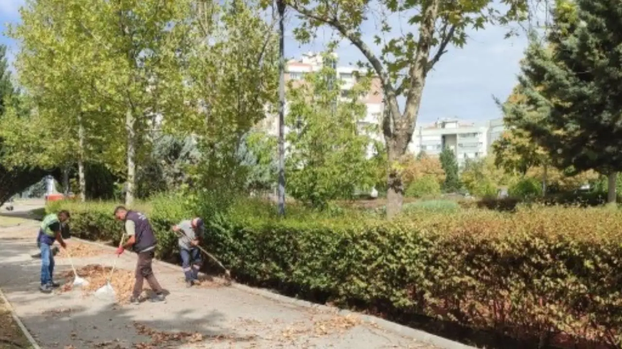 Etimesgut Belediyesi'nden Sonbahar Mesaisi2