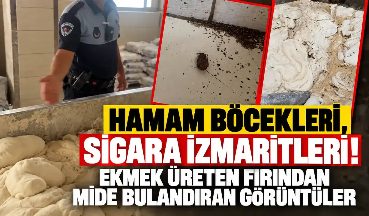 Hamam böcekleri, sigara izmaritleri! Ekmek üreten fırından mide bulandıran görüntüler