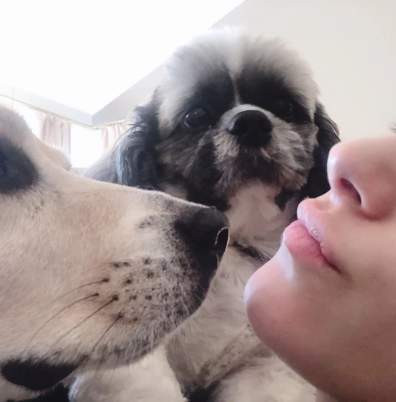 Hazal Kaya'dan Murphy'e Veda.3