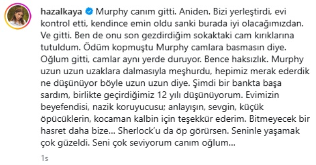 Hazal Kaya’yı Yıkan Haber Murphy’nin Ölümüyle Kahrolduu