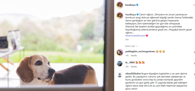 Hazal Kaya’yı Yıkan Haber Murphy’nin Ölümüyle Kahrolduuu