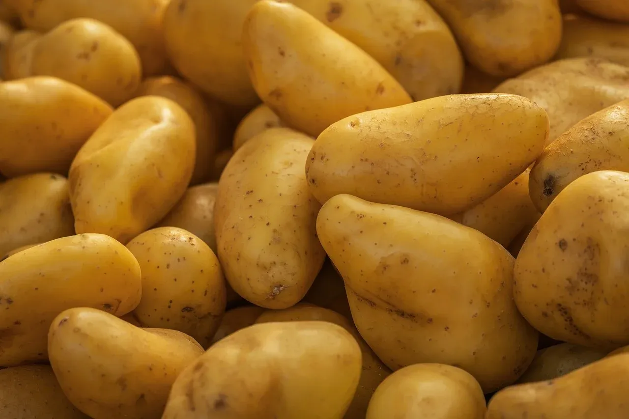 Hünkârbeğendiye Patates Koyarsanız Artık O Yemek Değil