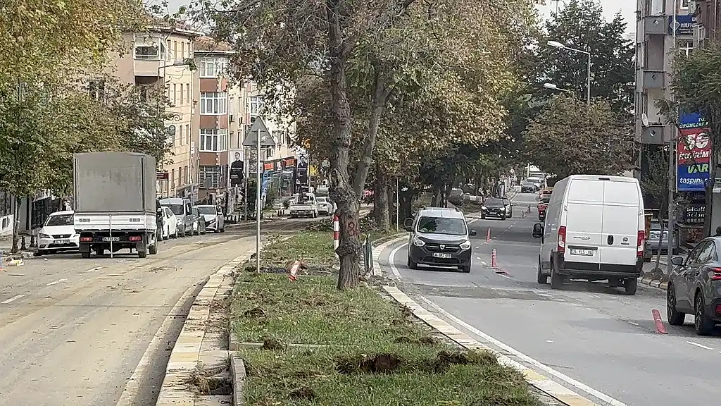 İbb’nin Tramvay Projesinde Ağaç Tepkisi “Gece Gelip Kestiler”