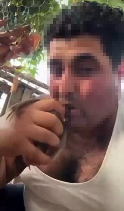 Kan donduran görüntüler! Kuşlara işkence eden şüpheli tutuklandı
