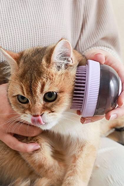 Kedi̇ Yikamak