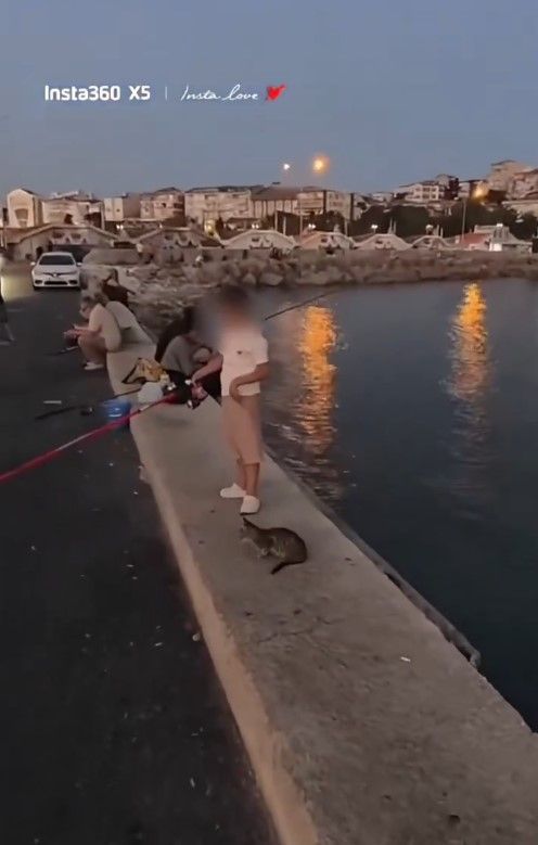 Küçük çocuk kediyi denize attı! Hiçbir şey olmamış gibi davranması tepki çekti