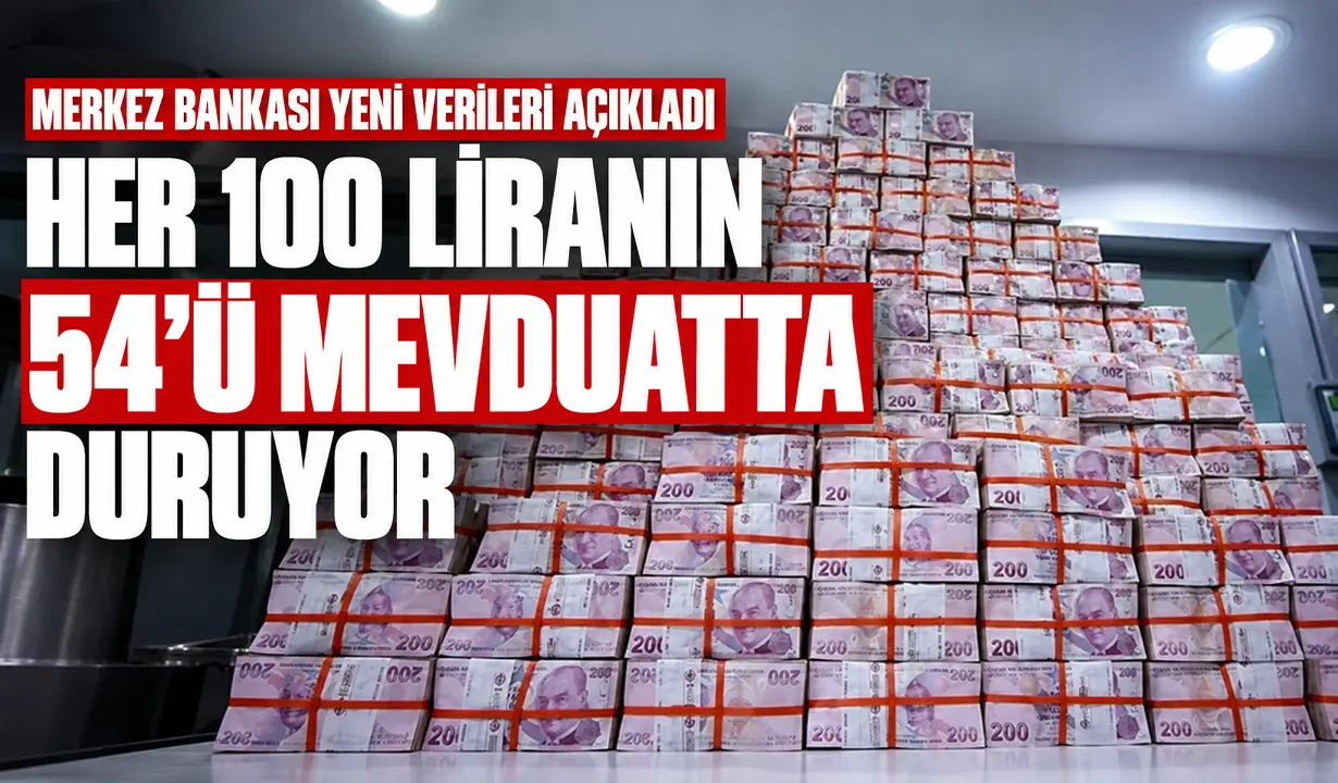 TCMB Finansal Hesaplar Raporu: 100 liranın 54'ü nakit ve mevduatta duruyor