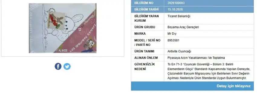 Mr Dıy Oyuncak