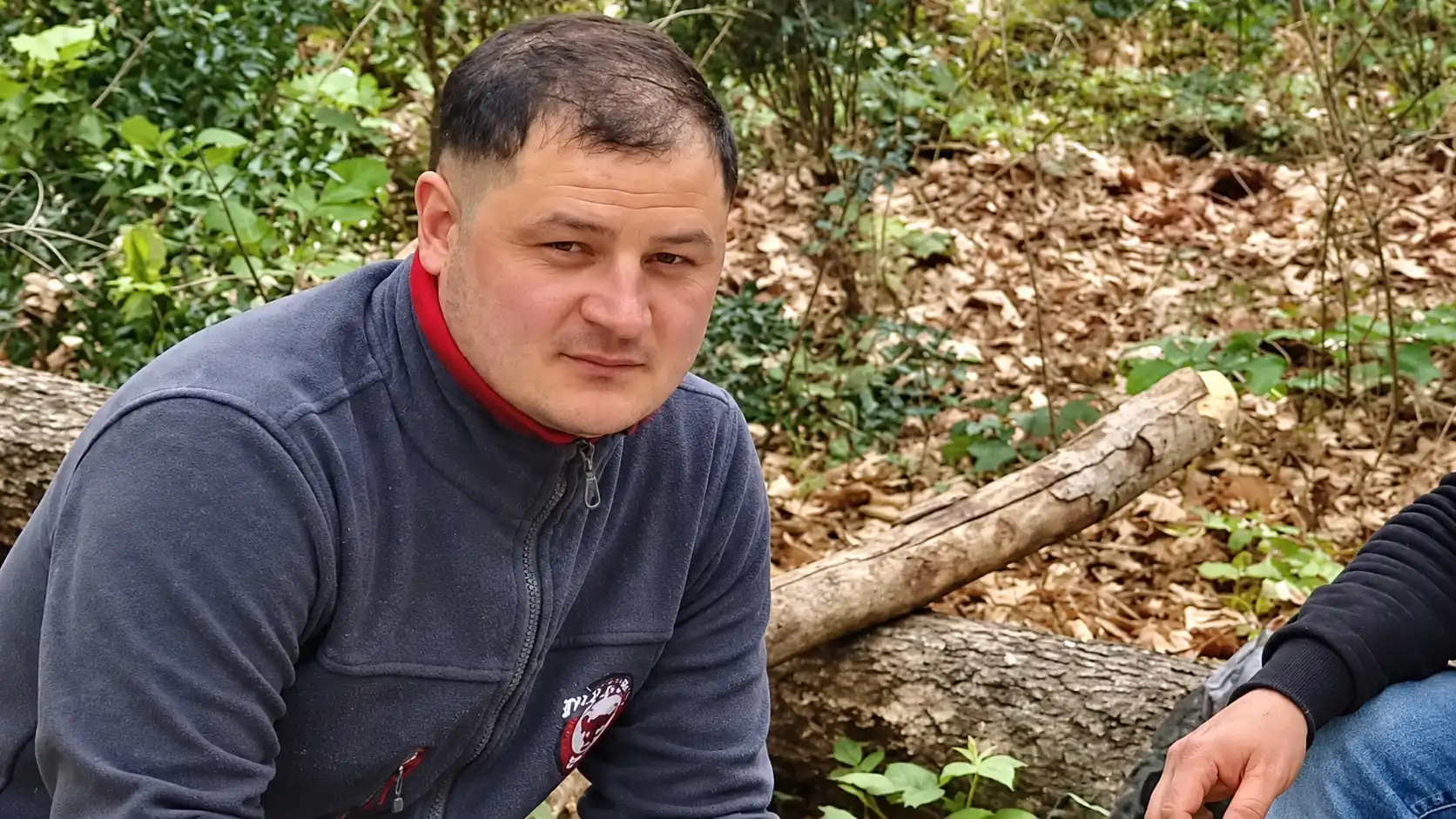 Ormanda Portre Ve Devrilmiş Kütük