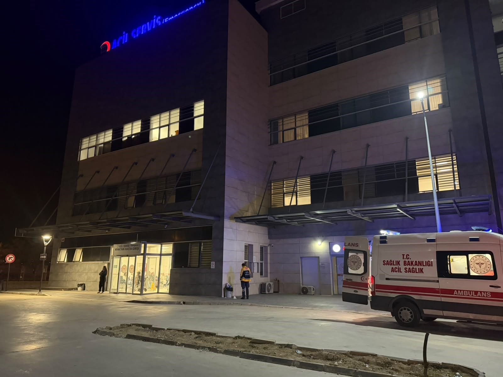 Otobüsten Inip Karşıya Geçerken Panelvan Çarptı 2 Ölü 2