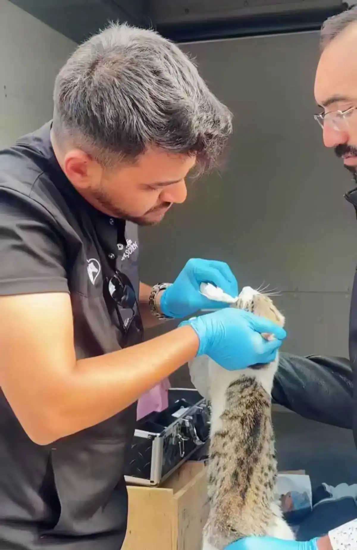 Sincan’da Sahipsiz Hayvanlar Için Haybulans Seferberliği2