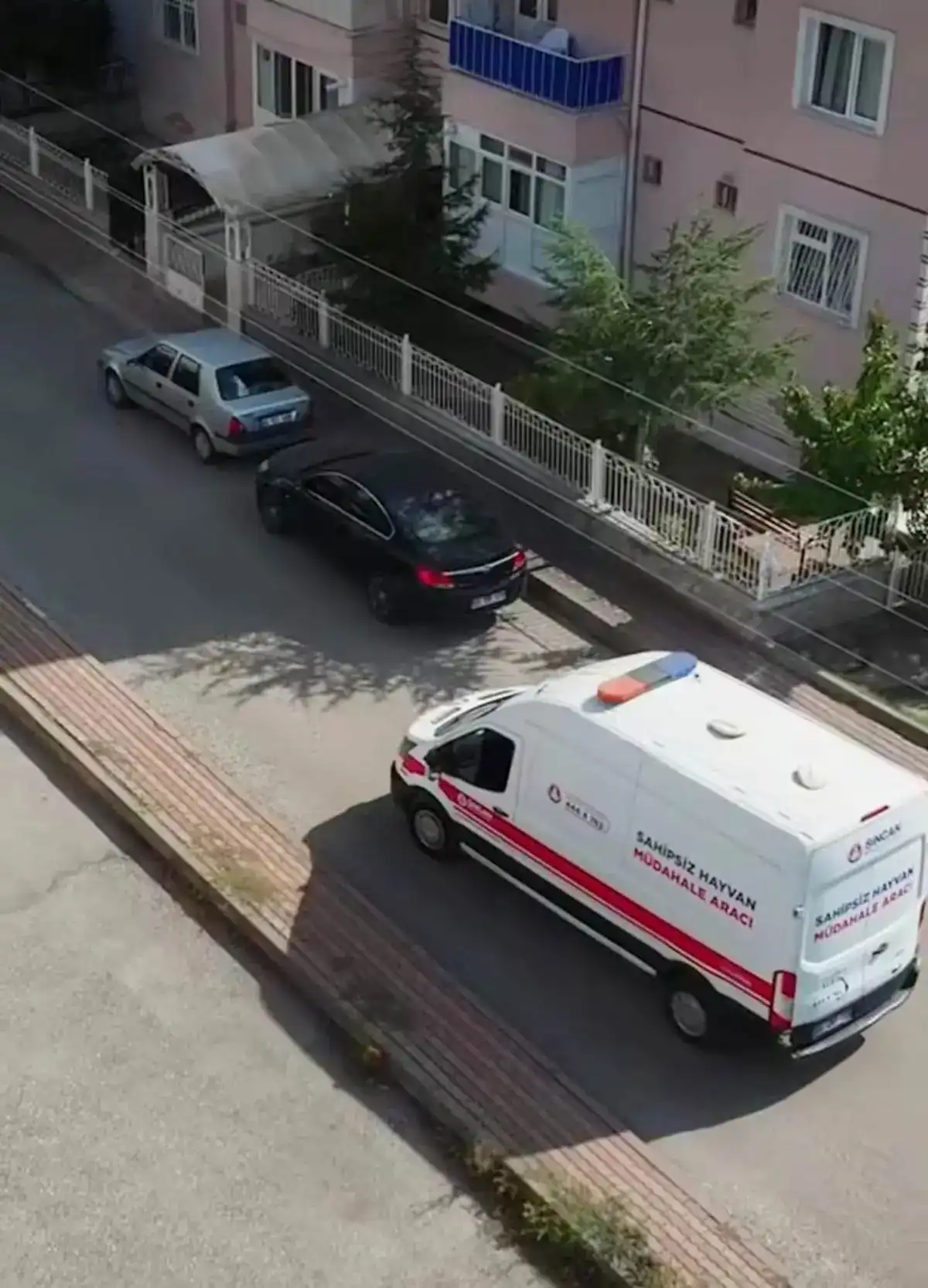 Sincan’da Sahipsiz Hayvanlar Için Haybulans Seferberliği4