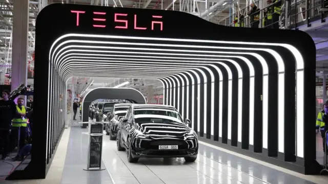 Tesla’dan Ret Alınca 68 Paket Domuz Gözü Gönderdi1