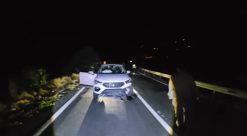 Tunceli Erzincan Yolunda Ayı Bir Anda Yola Çıktı Cip Çarptı, Sürücü Yara Almadı