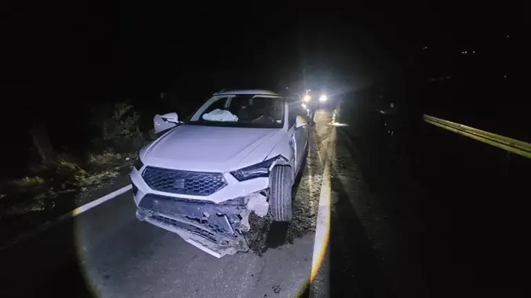 Tunceli Erzincan Yolunda Ayı Bir Anda Yola Çıktı Cip Çarptı, Sürücü Yara Almadıı