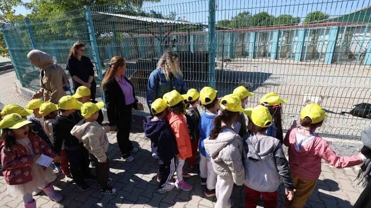 Yenimahalle’de Minikler Sahipsiz Hayvanlarla Buluştu 2